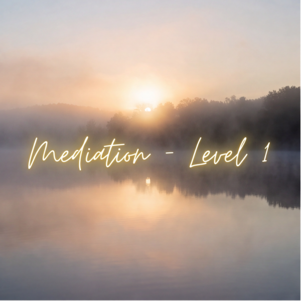 Party with the Universe Meditation Group   Level 1 (Beginner)