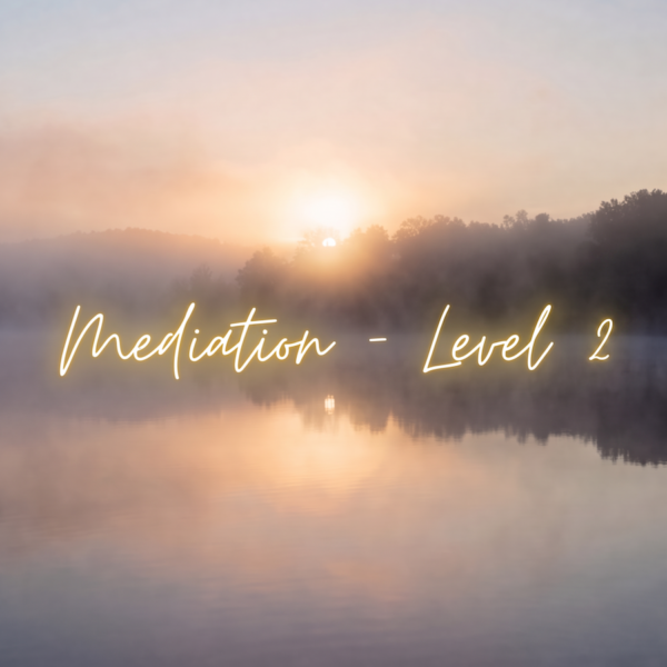 Party with the Universe Meditation Group   Level 2 (Experienced)